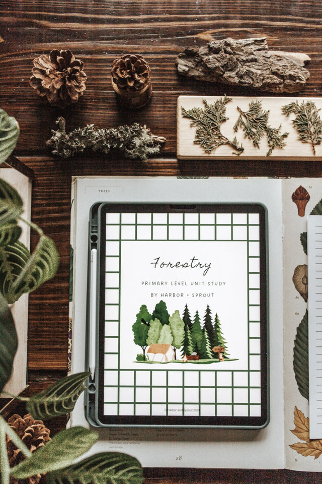 DIGITAL Forestry Primary Level Unit Study – Harbor and Sprout