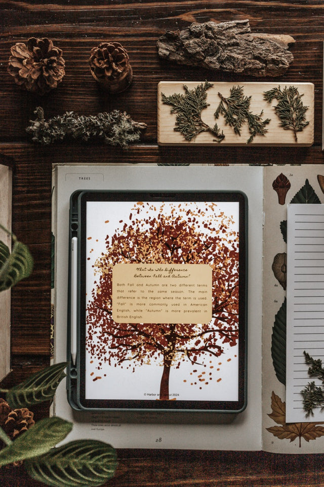 DIGITAL Forestry Primary Level Unit Study – Harbor and Sprout