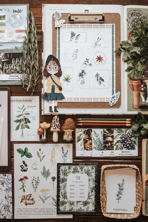 Patchwork Studies