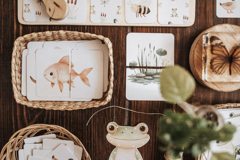 Freshwater Ecology Morning Basket