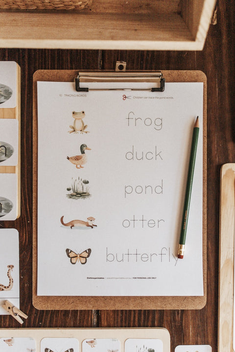 Freshwater Ecology Morning Basket