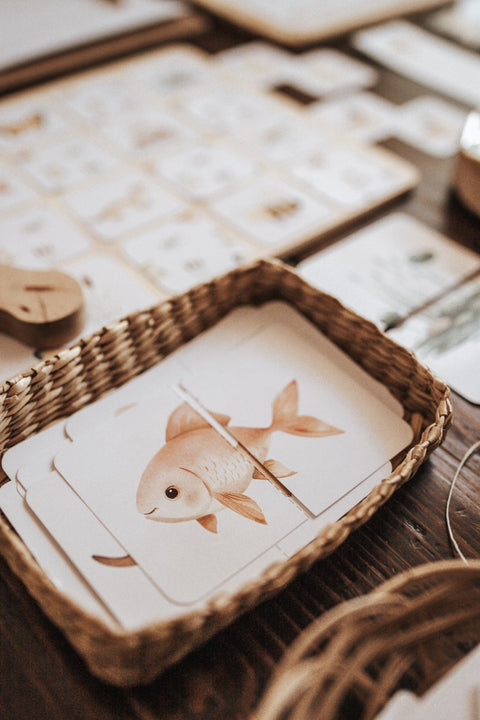 Freshwater Ecology Morning Basket