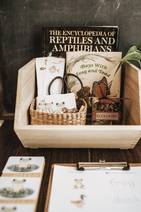 Freshwater Ecology Morning Basket