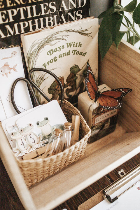 Freshwater Ecology Morning Basket