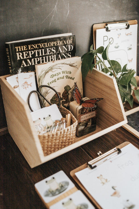 Freshwater Ecology Morning Basket