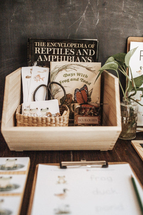 Freshwater Ecology Morning Basket