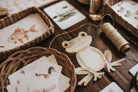 Freshwater Ecology Morning Basket