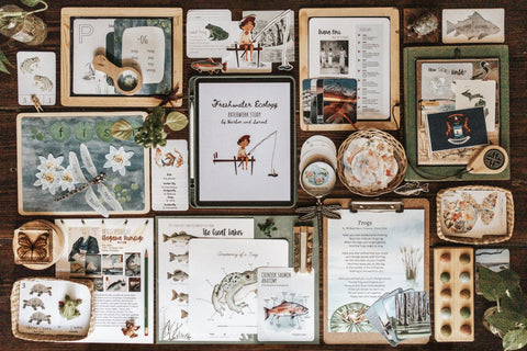 Freshwater Ecology Patchwork Study
