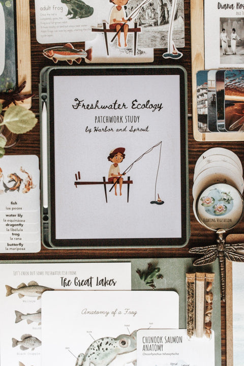 Freshwater Ecology Patchwork Study