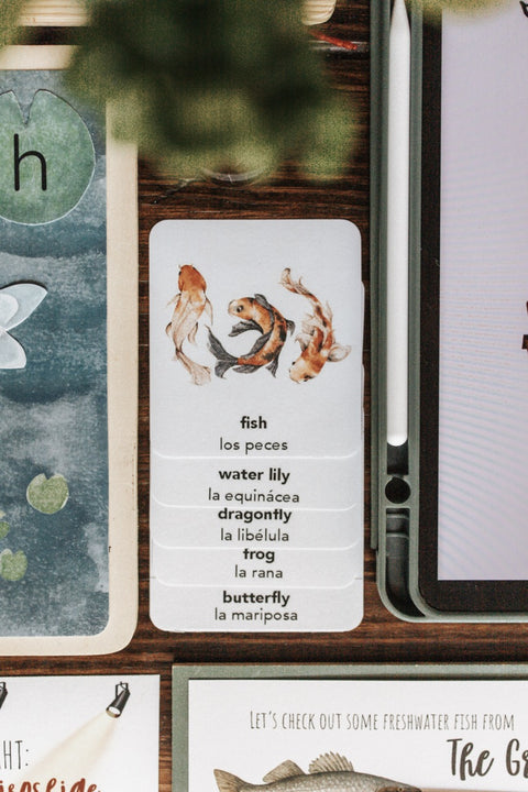 Freshwater Ecology Patchwork Study