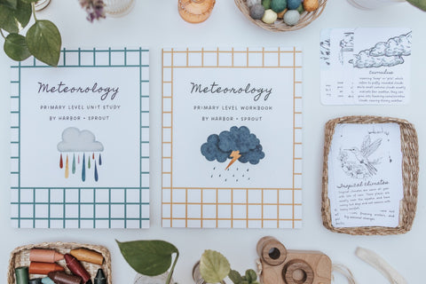 PRINT Meteorology Primary Level Workbook
