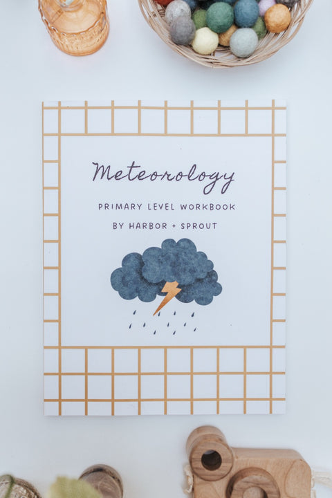 PRINT Meteorology Primary Level Workbook