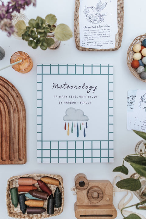 PRINT Meteorology Primary Level Unit Study