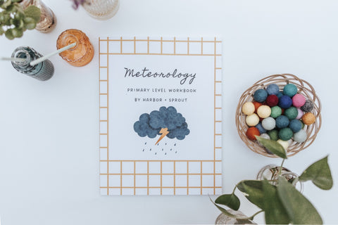 PRINT Meteorology Primary Level Workbook