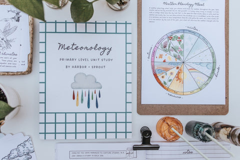PRINT Meteorology Primary Level Unit Study