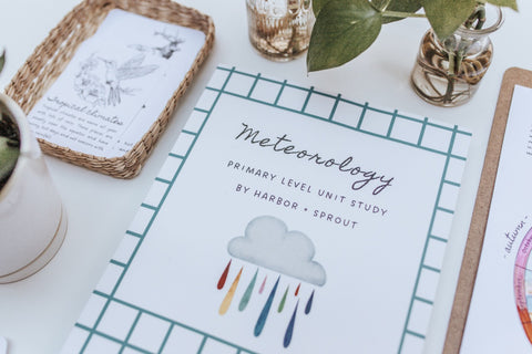 PRINT Meteorology Primary Level Unit Study