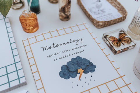 PRINT Meteorology Primary Level Workbook