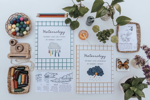 PRINT Meteorology Primary Level Workbook