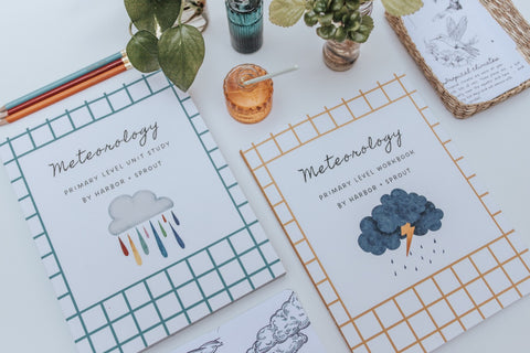 PRINT Meteorology Primary Level Workbook