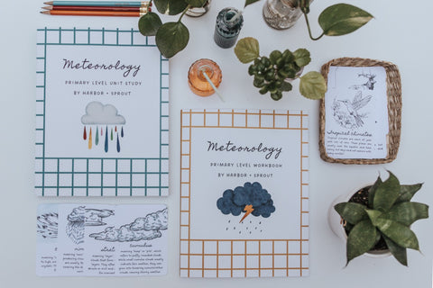 PRINT Meteorology Primary Level Workbook