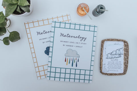 PRINT Meteorology Primary Level Unit Study