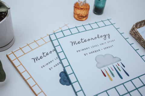 PRINT Meteorology Primary Level Unit Study