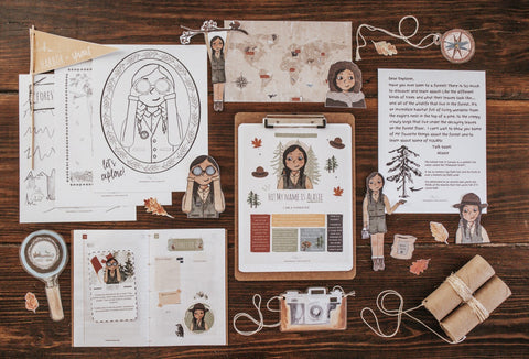 Forestry Patchwork Study