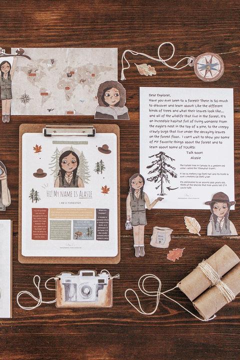 Forestry Patchwork Study