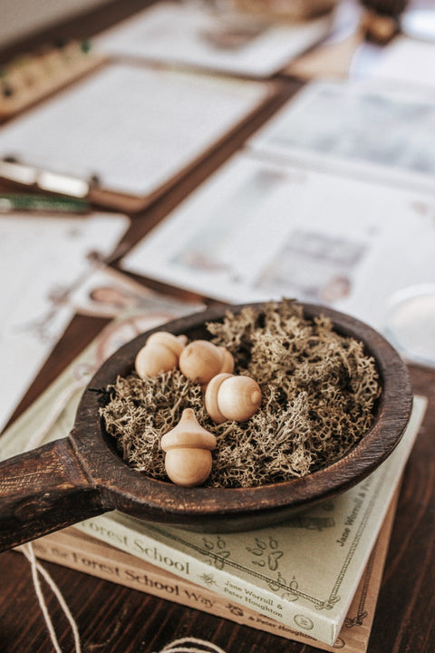 Forestry Patchwork Study