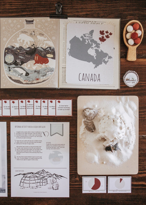 Forestry Patchwork Study