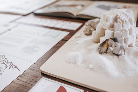 Forestry Patchwork Study