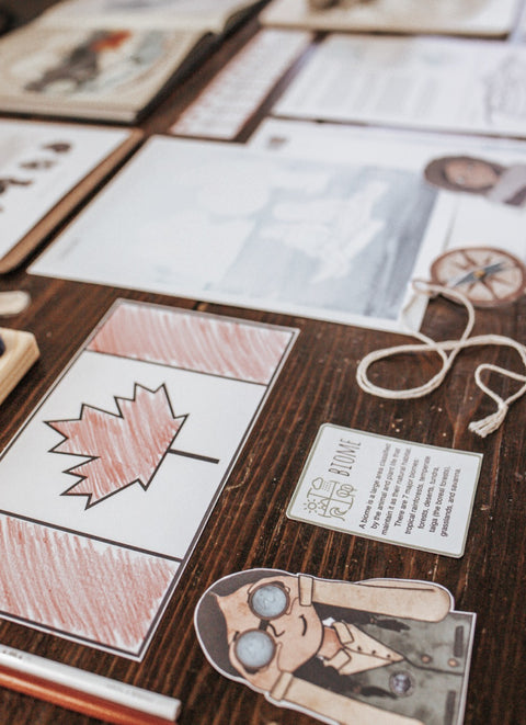 Forestry Patchwork Study