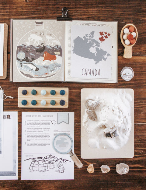 Forestry Patchwork Study