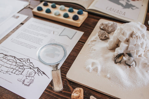 Forestry Patchwork Study