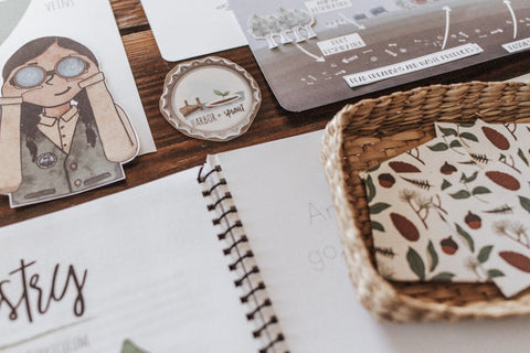 Forestry Patchwork Study