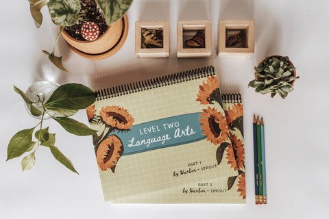 Level Two Curriculum Bundles