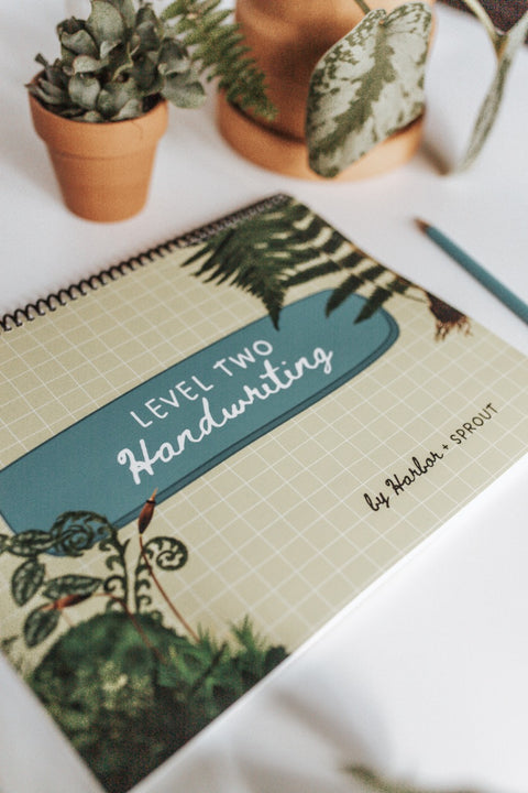 PRINT Level Two Handwriting