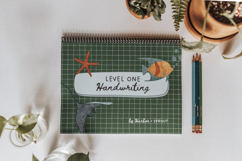 PRINT Level One Handwriting