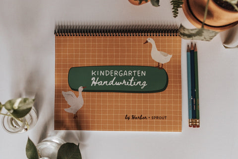 Kindergarten Curriculum Bundles