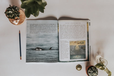 DIGITAL Wellness Level Unit Study