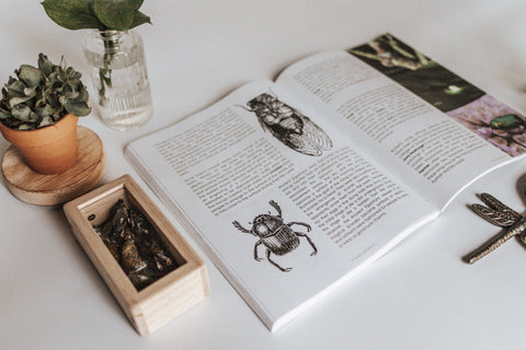 PRINT Entomology Secondary Level Unit Study