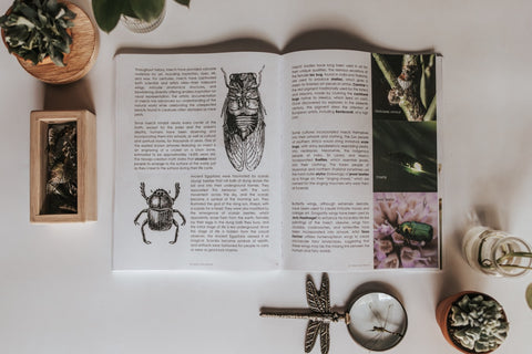PRINT Entomology Secondary Level Unit Study