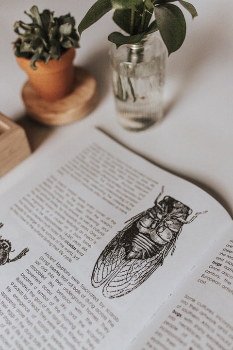 PRINT Entomology Secondary Level Unit Study