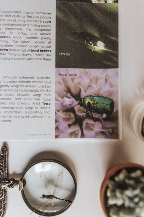 PRINT Entomology Secondary Level Unit Study