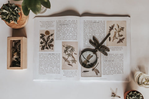 PRINT Entomology Secondary Level Unit Study