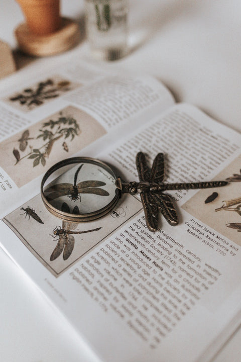 PRINT Entomology Secondary Level Unit Study