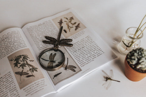 PRINT Entomology Secondary Level Unit Study