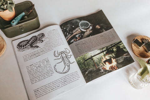 DIGITAL Outdoor Survival Skills Secondary Level Unit Study