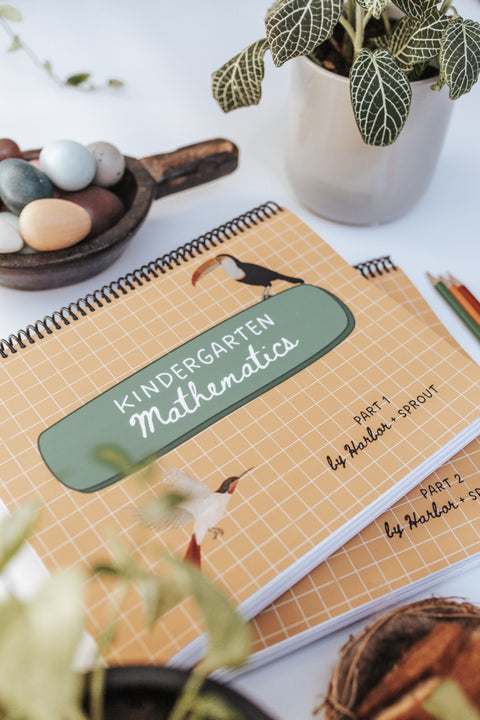 Kindergarten Curriculum