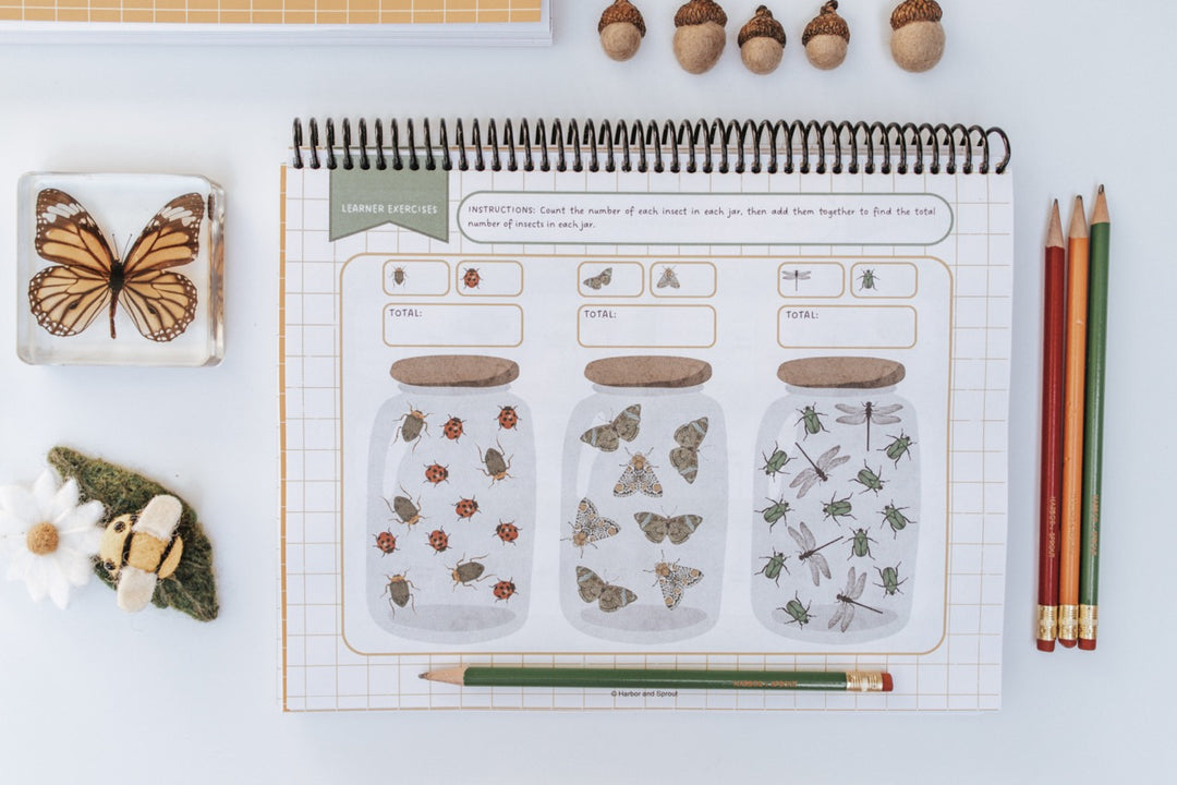 Deep Sprouted Math DIGITAL Kindergarten Mathematics – Harbor and Sprout